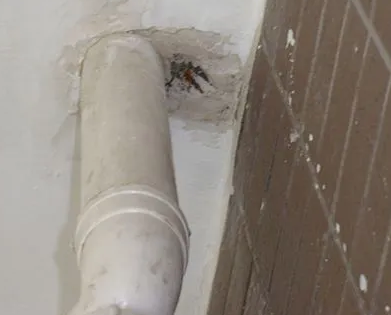 驻马店漏水检测哪家好